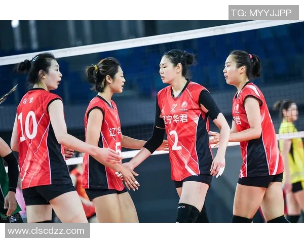 最新排球战术排名前十北京排球队凭借创新战术稳居榜首