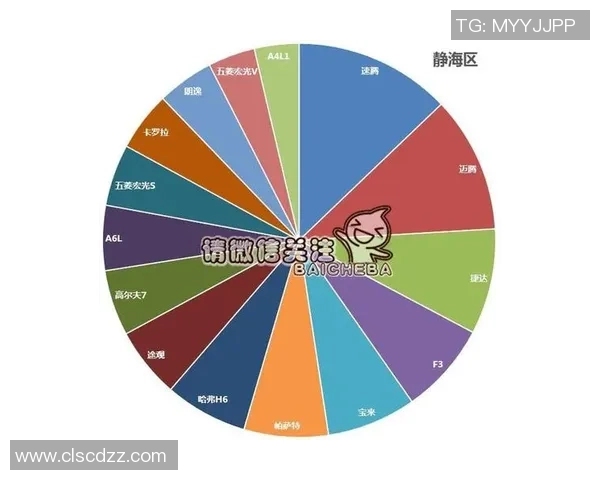 独家分析：上海乒乓球队的团队协作对比