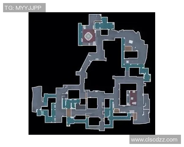 CS_GO新手攻略：团队协作入门指南