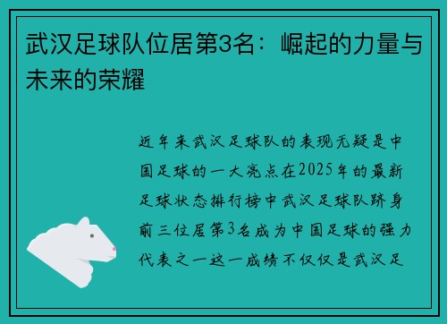 武汉足球队位居第3名：崛起的力量与未来的荣耀