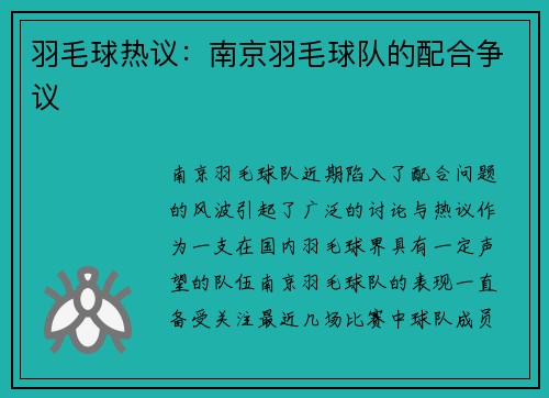 羽毛球热议：南京羽毛球队的配合争议