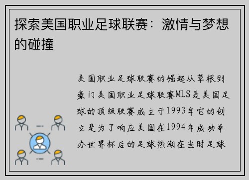 探索美国职业足球联赛：激情与梦想的碰撞