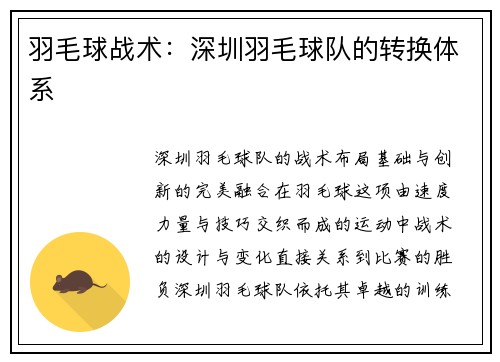 羽毛球战术：深圳羽毛球队的转换体系