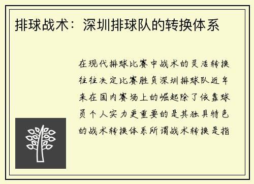 排球战术：深圳排球队的转换体系